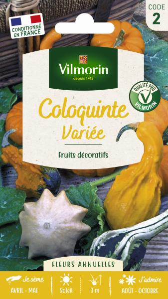 Fleurs - Coloquinte Variée - PACKAGING_RECTO